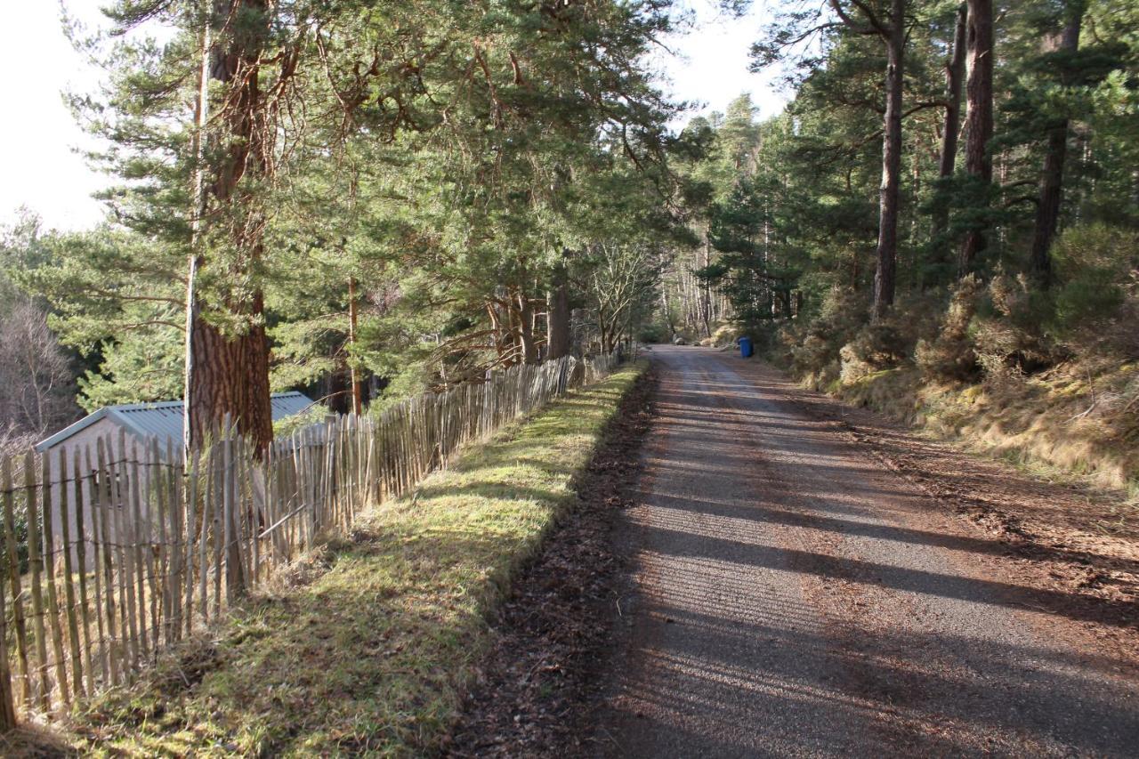 Amazing Cottage With Private Indoor Swim Pool And Hot Tub Grantown-on-Spey Exteriér fotografie